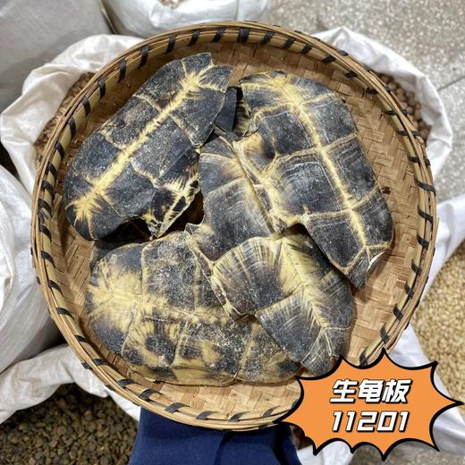 生龟板   龟壳 养殖龟板 可砸小 商品图1