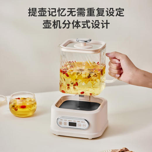 【小家电】BASSENS巴森小方炖全玻璃养生壶煮茶壶养生烧水壶一体水壶恒温壶婴儿母婴级材质迷你煮茶器办公室烧水D1 HF 商品图4