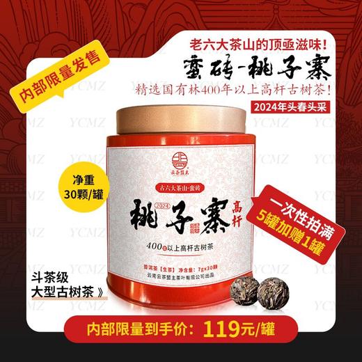 【易武新贵】蛮砖-桃子寨！2024年头春头采，国有林核心产区高杆古茶树！400年以上大型古树茶！内劲十足，香气妖娆！纯手工揉捻龙珠！ 商品图0