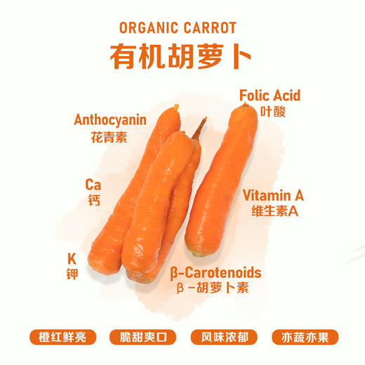 暖壹有机胡萝卜500g 商品图1