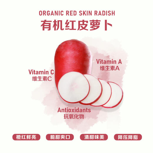 暖壹有机红皮萝卜500g 商品图1