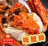 【门店发售】江苏精品湖大闸蟹直供（母蟹2.8-3.3两） 商品缩略图1