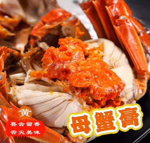 【门店发售】江苏精品湖大闸蟹直供（母蟹2.8-3.3两） 商品图1