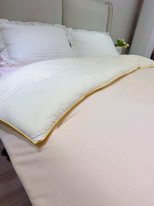 松植屋暖心大豆冬被加厚冬季保暖被子大豆纤维被芯A类针织棉磨绒面料抗菌保暖 商品图1