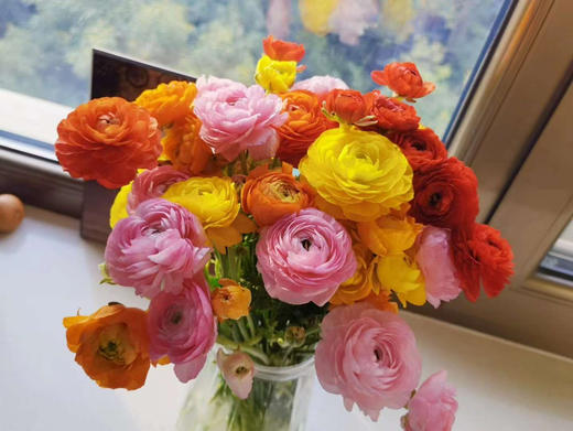 混色洋牡丹，10支/束 商品图1
