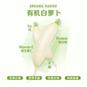 暖壹有机白萝卜500g
