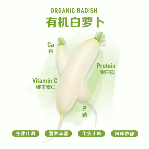  暖壹有机白萝卜500g 商品图0