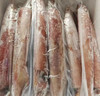 活冻火箭鱿鱼 | 深海野生海钓海鲜 商品缩略图1
