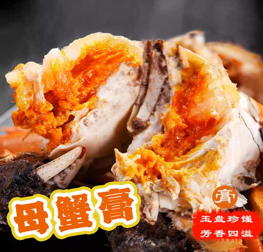 【门店发售】江苏精品湖大闸蟹直供（母蟹2.8-3.3两） 商品图0