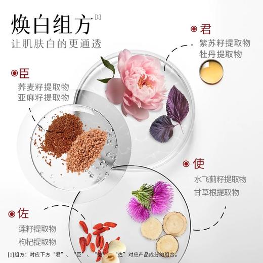 美白莹润祛斑精华液 30ml 草本护肤 商品图4