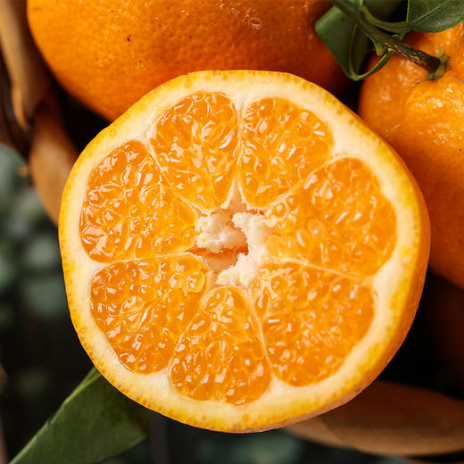 【果蔬精选】四川春见耙耙柑 当季鲜果 轻松易剥皮 果肉脆嫩 香甜多汁 细腻化渣 简单好吃 营养美味~ 商品图2