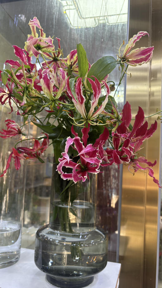 【国产嘉兰 】红色 5枝/扎（非质量问题，不予售后，介意慎拍） 商品图3