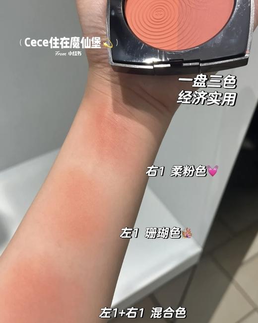 香nai儿双色腮红 春季限定粉色贝壳哑光腮红 附带刷子  保质期到27-03月 商品图1