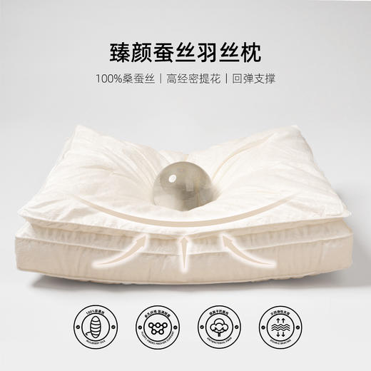 枕上无忧 | 臻颜蚕丝羽丝枕 桑蚕丝仪征羽丝绒上下式双层填充 高精密仿真丝提花面料 吸湿透气整夜安睡 商品图1