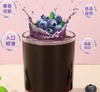蓝莓原浆袋装 商品缩略图0