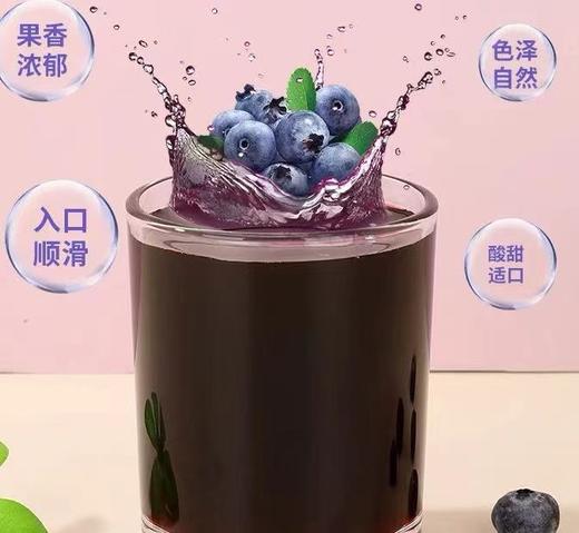 蓝莓原浆袋装 商品图0