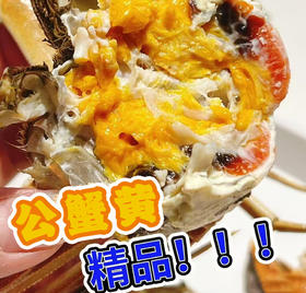 【门店发售】江苏精品湖大闸蟹直供（公蟹3.8-4.2两）