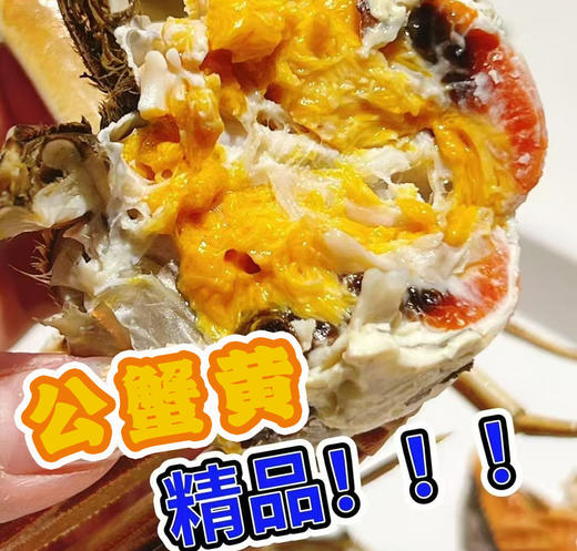 【门店发售】江苏精品湖大闸蟹直供（公蟹3.8-4.2两） 商品图0