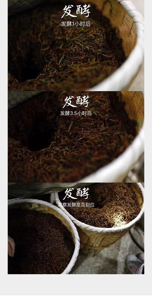 金骏眉 桐木关小菜茶 “桐木本山金” 5克*10泡装 商品图7