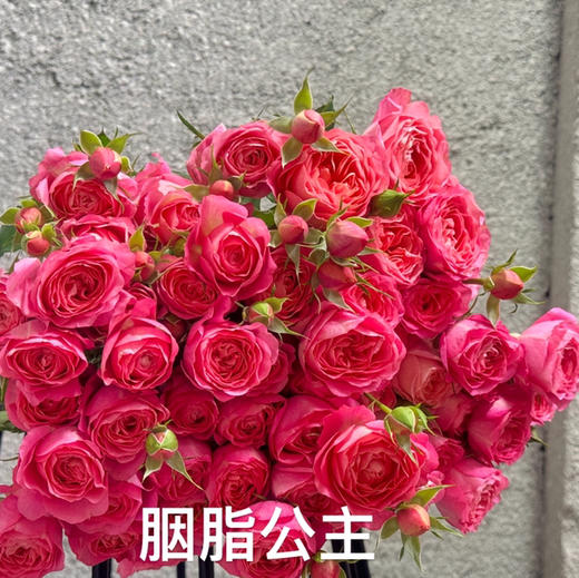 多头玫瑰.胭脂公主B级 商品图0