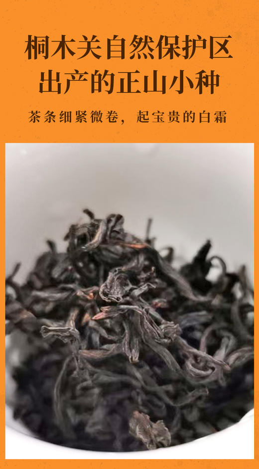 武夷正山小种 12泡/60克 桐木关自然保护区内产品 花香丛韵味甘醇 商品图2