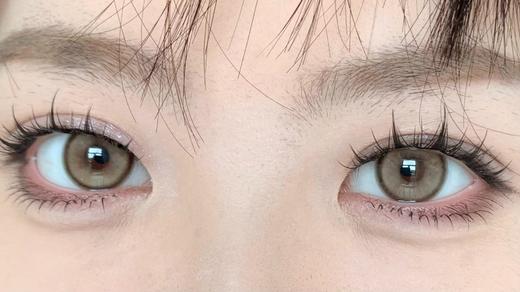 ALLECON年抛美瞳 奶栗啵啵 14.5mm 商品图0