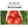 暖壹有机番茄500g 商品缩略图0