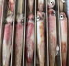 活冻火箭鱿鱼 | 深海野生海钓海鲜 商品缩略图2