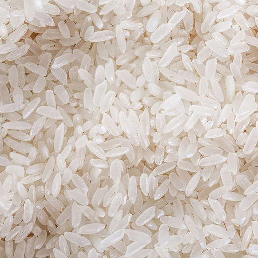 邻家饭香有机五常大米稻花香2号 5kg/袋 龙凤山核心产区黑土地种植 商品图8