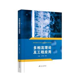 多相流理论及工程应用