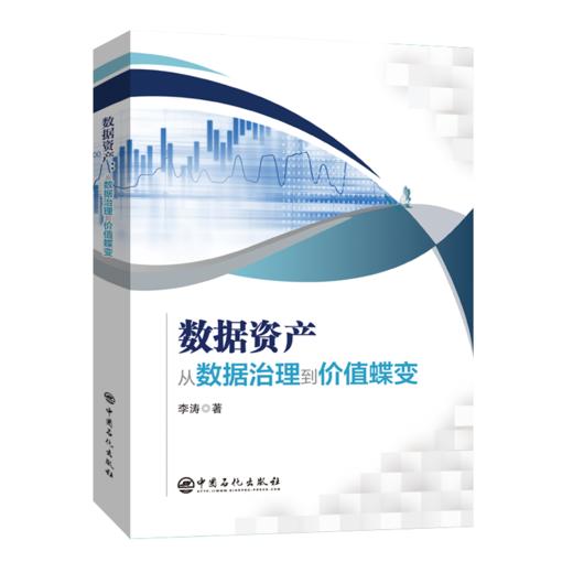 数据资产 从数据治理到价值蝶变 商品图0