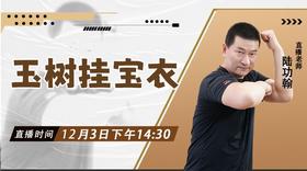 【12月3日 】玉树挂宝衣