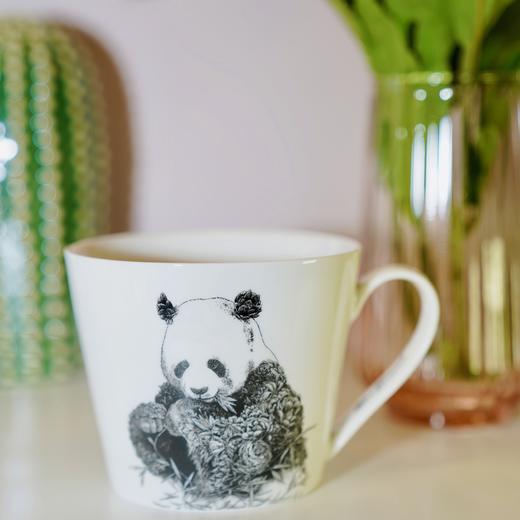 【福利特惠】澳大利亚设计师品牌【MAXWELL WILLIAMS】马克杯系列🔥澳洲500＋零售店、全球40+个国家🈶售~老板移居漂亮国，库存全部清仓‼️​ ​ 商品图13