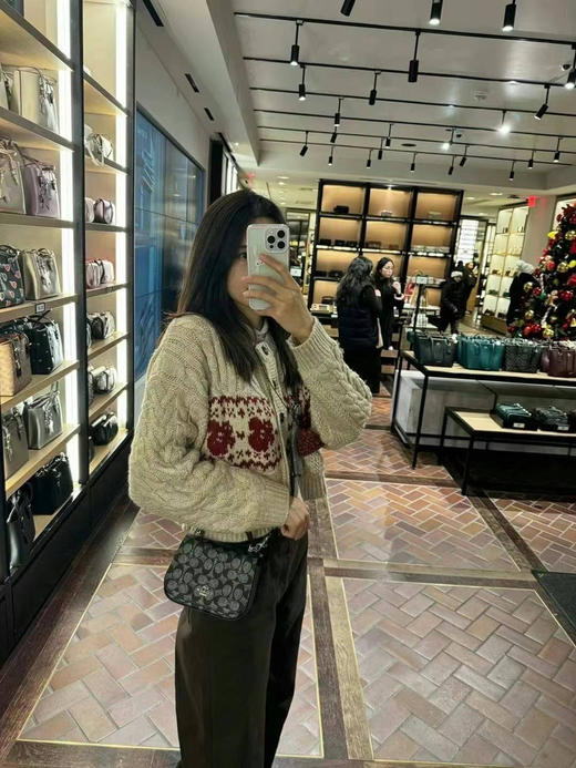 ¥1180🇺🇸Coach新款小斜挎 可手提可斜挎 商品图4