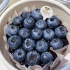 蓝莓生巧巴斯克（约点做好） 商品缩略图0