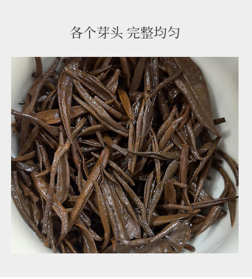 金骏眉 桐木关小菜茶 “桐木本山金” 5克*10泡装 商品图6