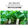  暖壹有机白萝卜500g 商品缩略图1