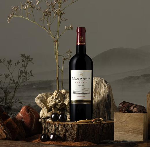 【直选好酒】玛安蒂珍藏干红赤霞珠红葡萄酒750ml单支 智利名庄进口 商品图3