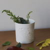 【新版】Eryu Ceramics耳语陶瓷工作室 落叶系列 植物 绣球烛台杯 商品缩略图4