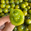 翡翠千禧圣女果 净重1kg/件 商品缩略图2