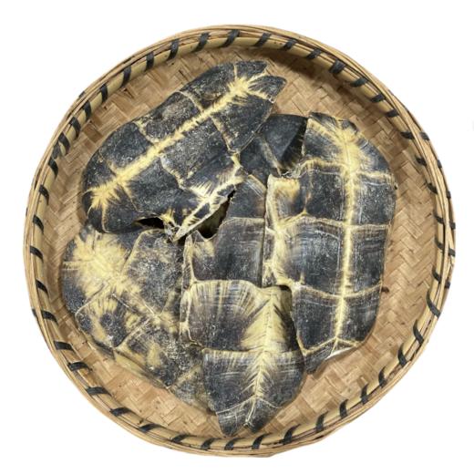 生龟板   龟壳 养殖龟板 可砸小 商品图3