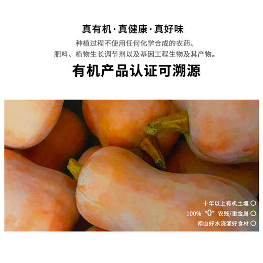 暖壹有机奶油南瓜500g 商品图1