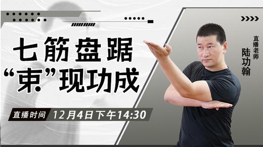 【12月4日】七筋盘踞‘’束”现功成 商品图0