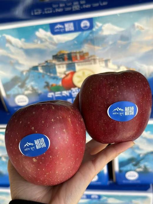 雪域西藏冰糖心苹果(7斤装） 商品图0