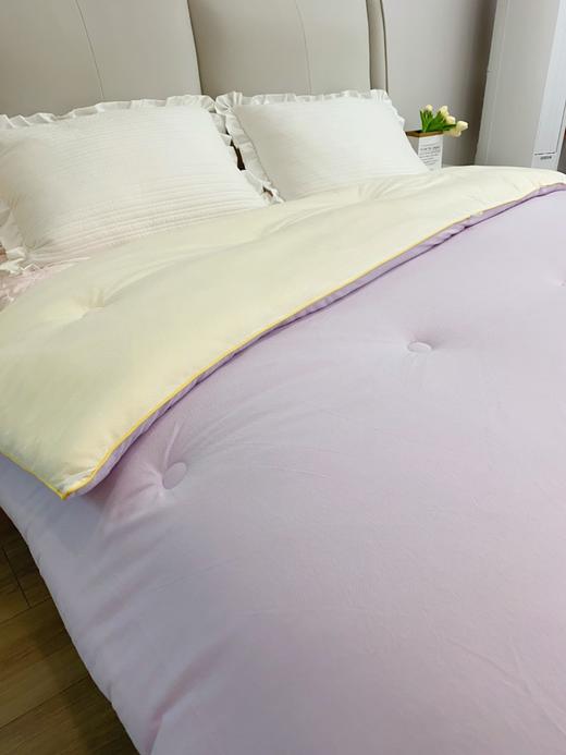 松植屋暖心大豆冬被加厚冬季保暖被子大豆纤维被芯A类针织棉磨绒面料抗菌保暖 商品图5