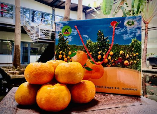 正宗永春芦柑（基地自产，绿色认证）10斤装（中大果） 商品图0