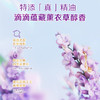 立白洗衣凝珠 留香珠 商品缩略图7