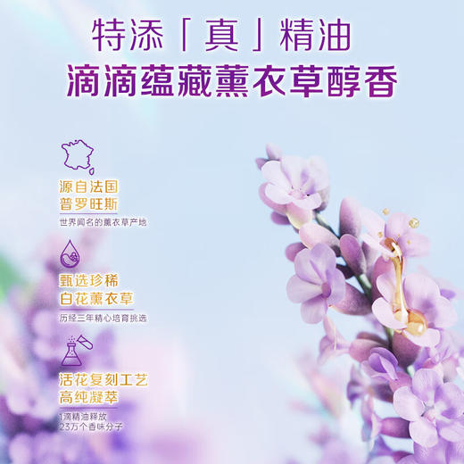 立白洗衣凝珠 留香珠 商品图7