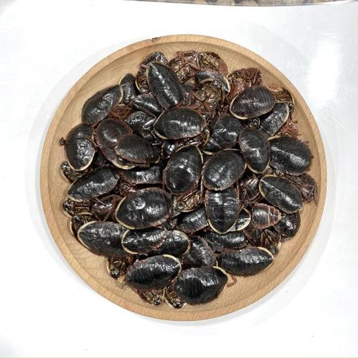 金边土元   土鳖虫土元中华土鳖虫地乌龟100g起购 商品图4