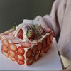 半糖｜草莓小屋蛋糕 商品缩略图0
